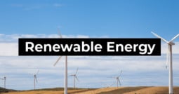 Tanya Plibersek MP, says investment in cheaper, cleaner renewable energy is a “no brainer”