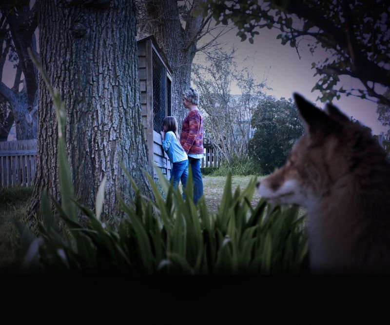 ISA-Henhouse-078_COMB_TST.jpg ISA-Henhouse-078_COMB_TST.jpg