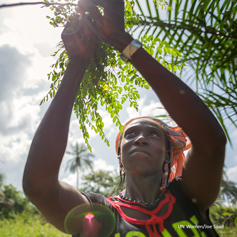 International Women's Day International Women's Day