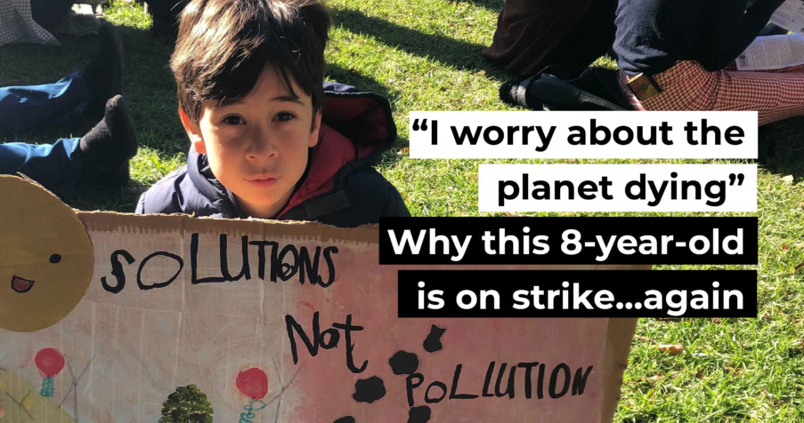 Post Thumbnail: &ldquo;I worry about the planet dying&rdquo; &ndash; why this 8-year-old is on strike&hellip;again