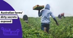 Australian farms’ dirty secrets exposed