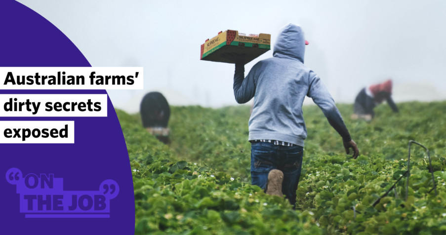 Post Thumbnail: Australian farms&rsquo; dirty secrets exposed