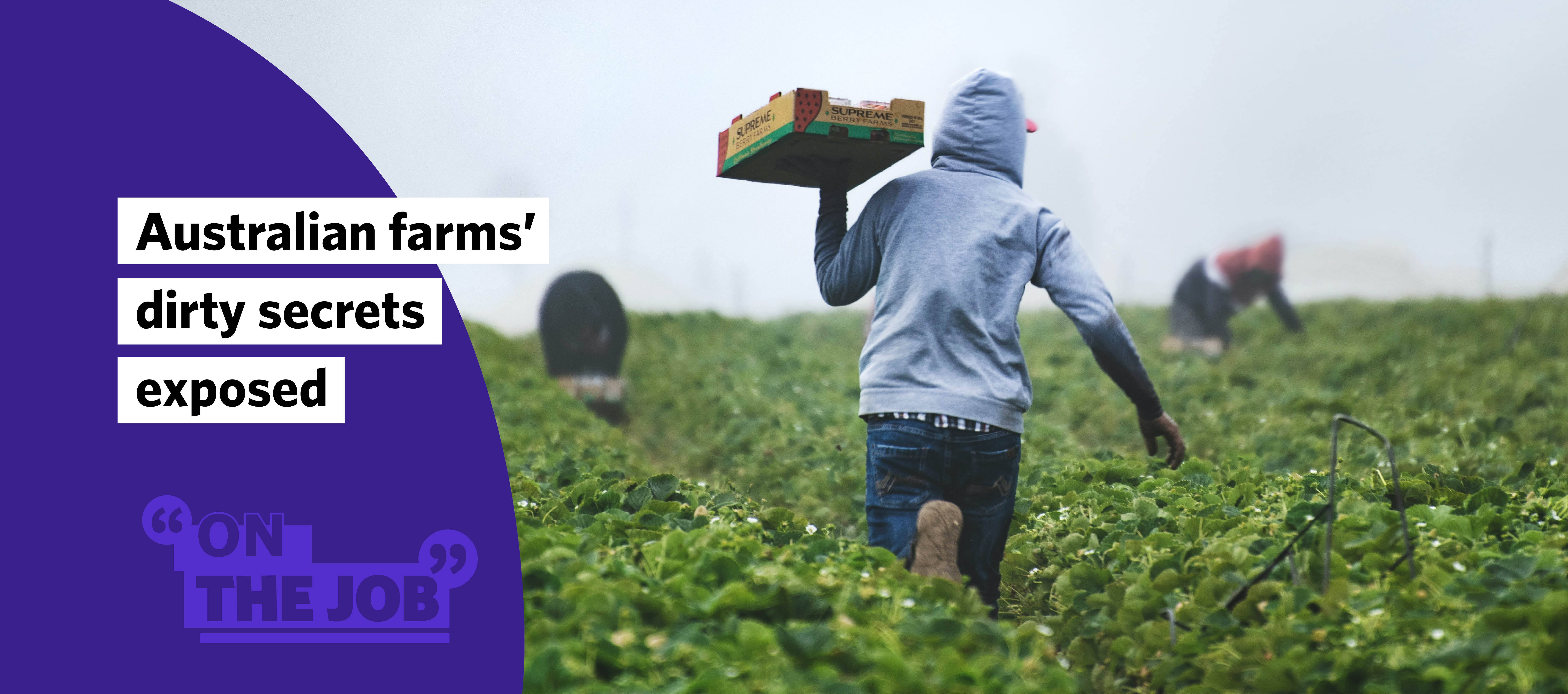 Australian farms&rsquo; dirty secrets exposed