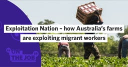 Exploitation Nation – how Australia’s farms are exploiting migrant workers