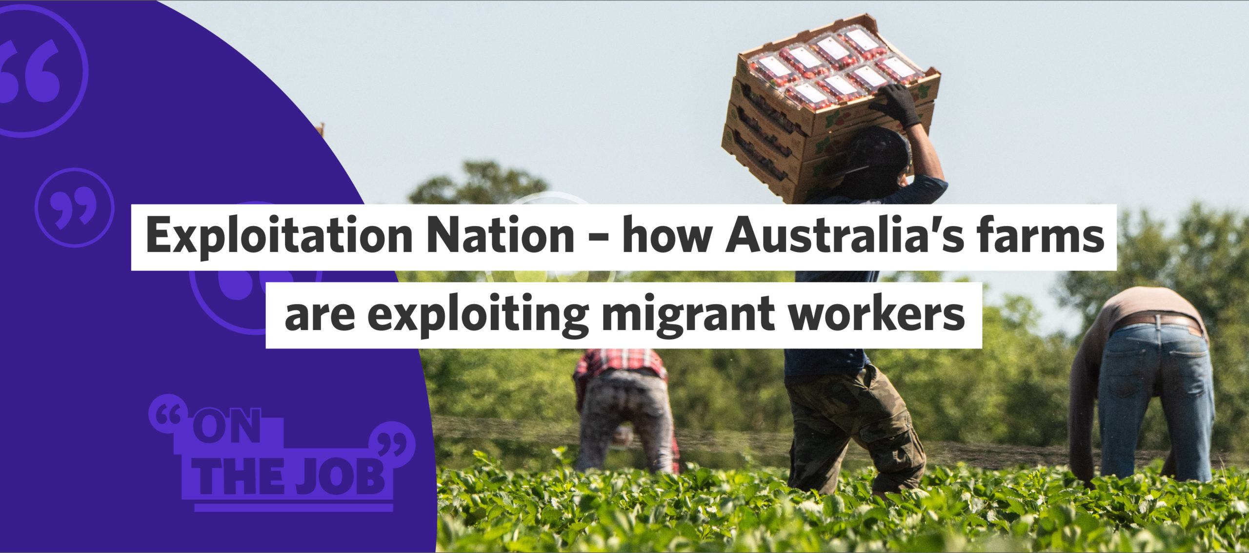 Exploitation Nation &ndash; how Australia&rsquo;s farms are exploiting migrant workers
