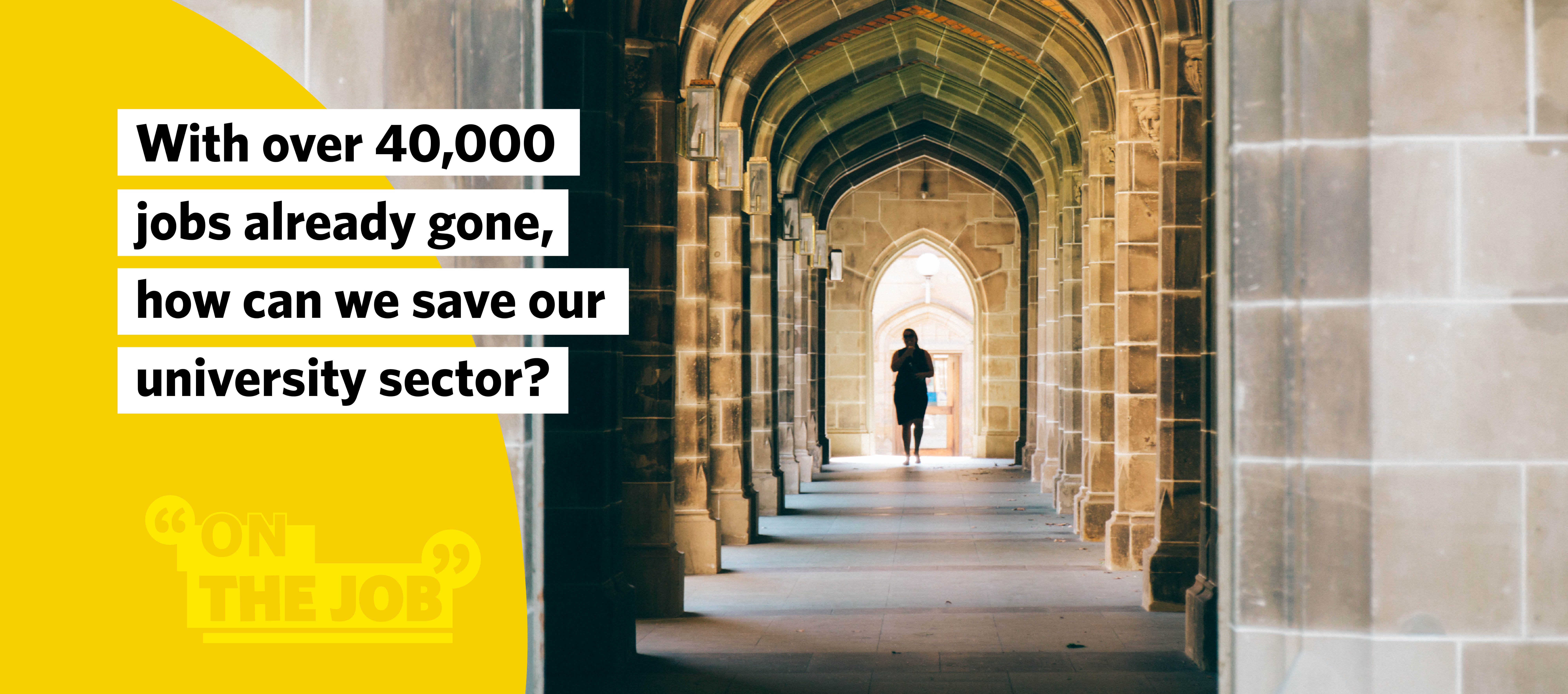 With over 40,000 jobs already gone, how can we save our university sector?