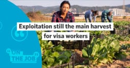 Exploitation still the main harvest for visa workers