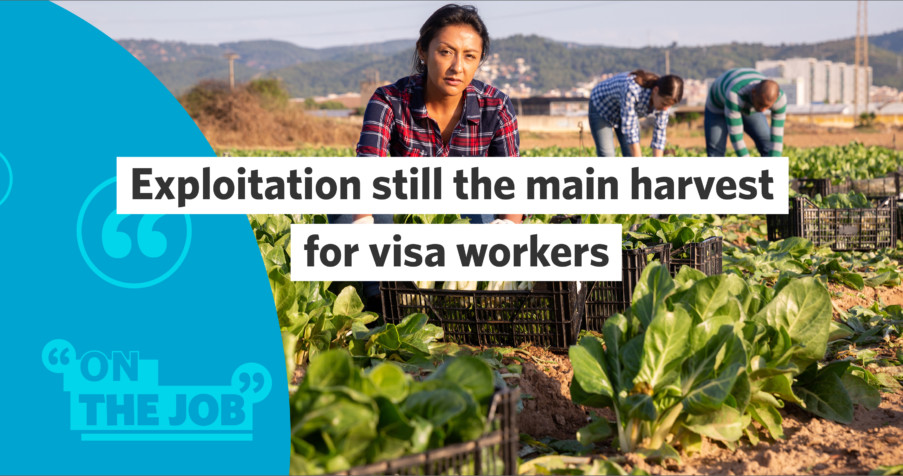 Post Thumbnail: Exploitation still the main harvest for visa workers