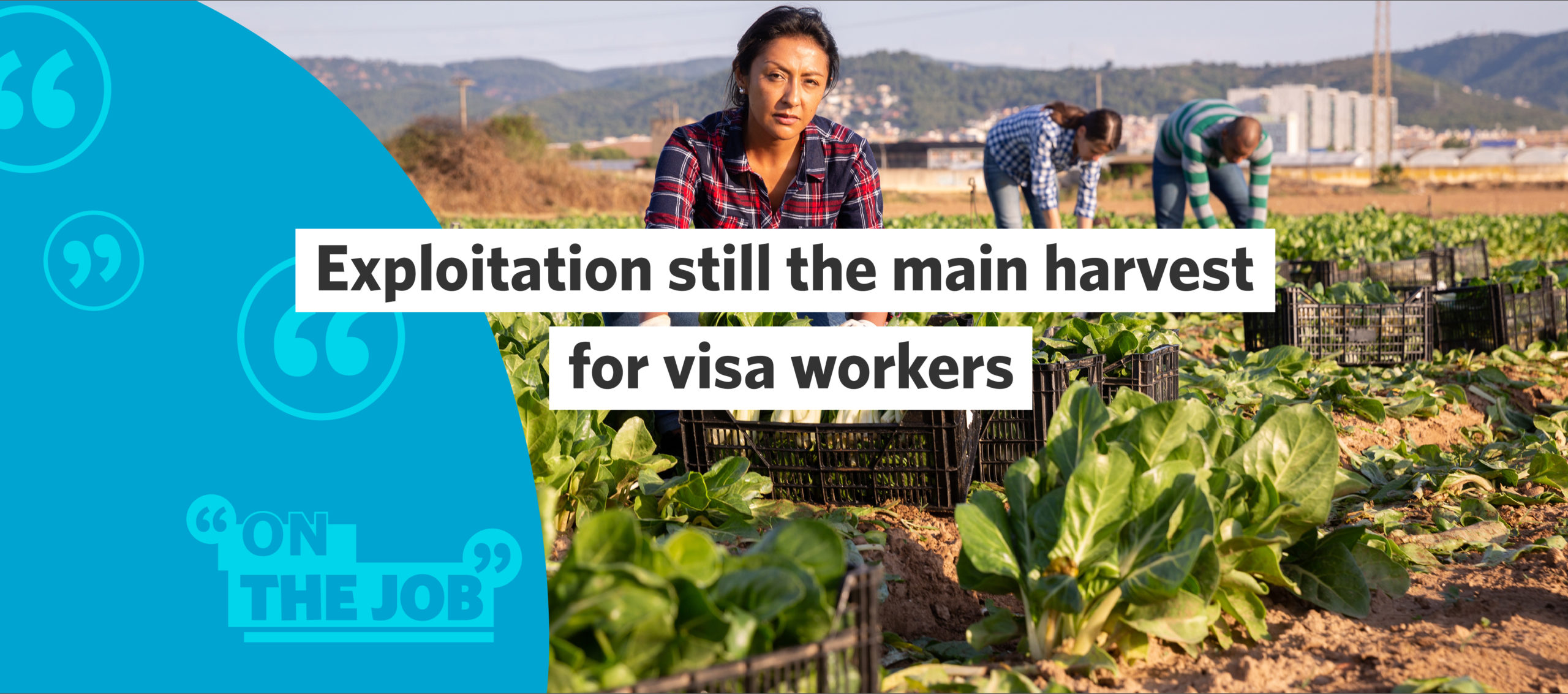 Exploitation still the main harvest for visa workers