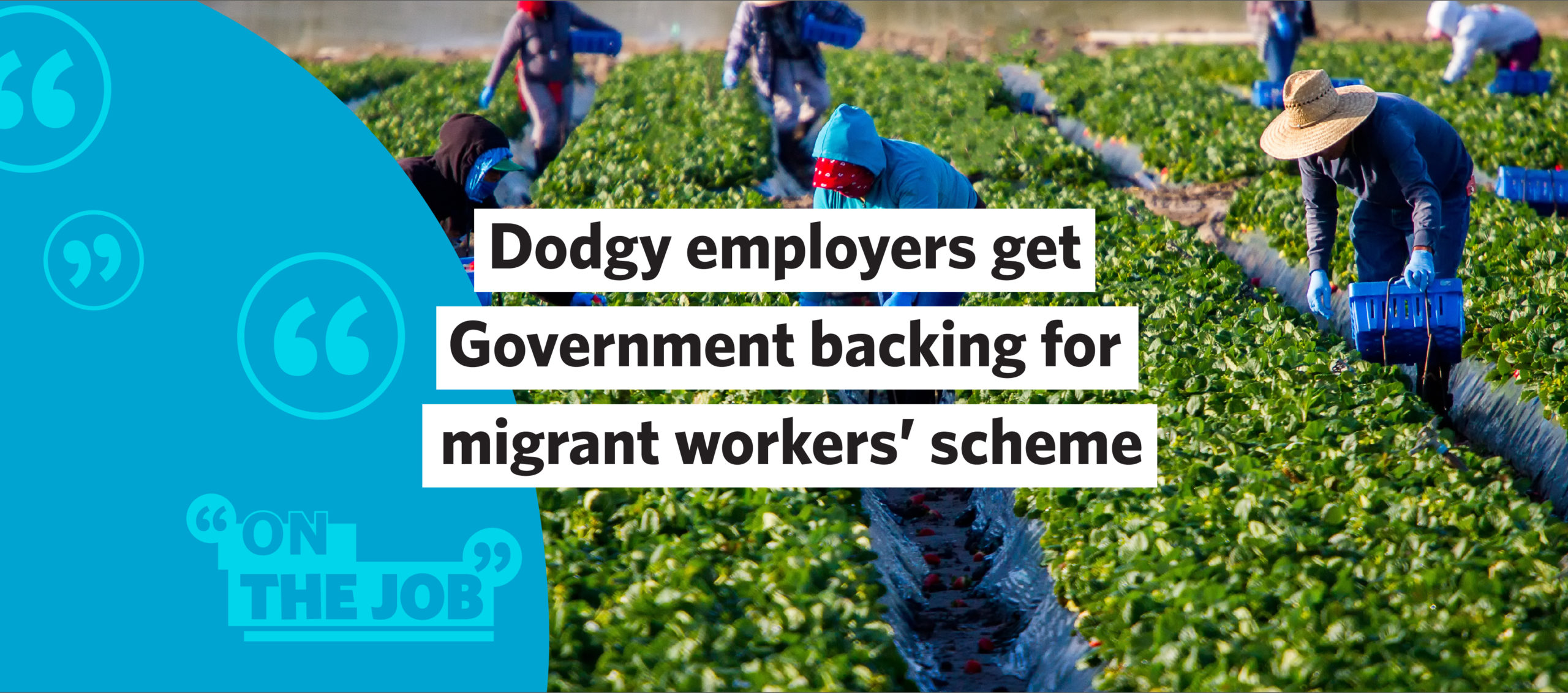 Dodgy employers get Government backing for migrant workers’ scheme