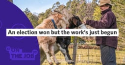 An election won but the work’s just begun