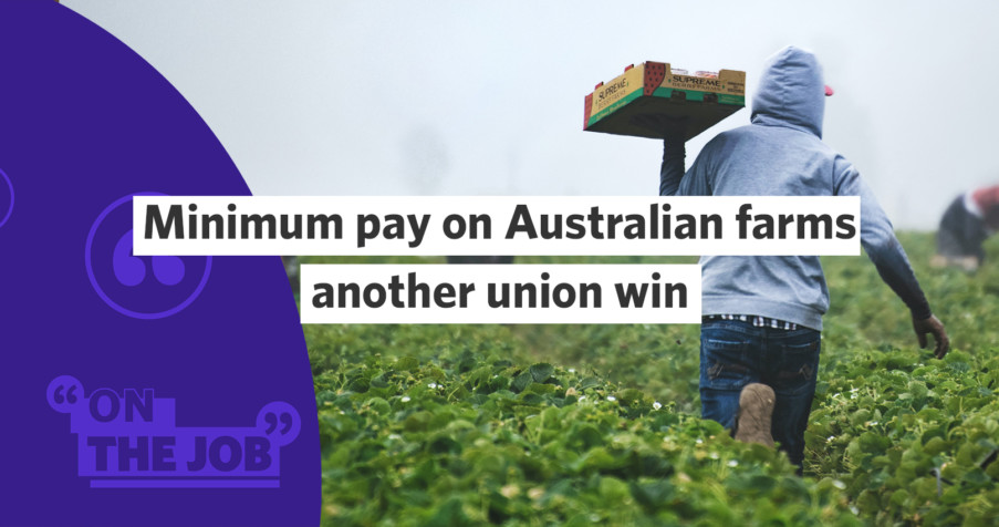 Post Thumbnail: Minimum pay on Australian farms another union win
