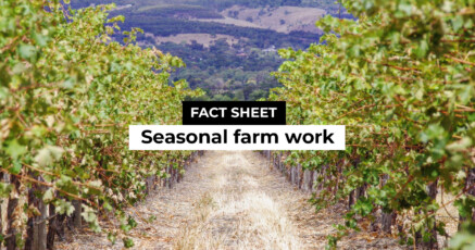 Factsheet Thumbnail: Seasonal farm work