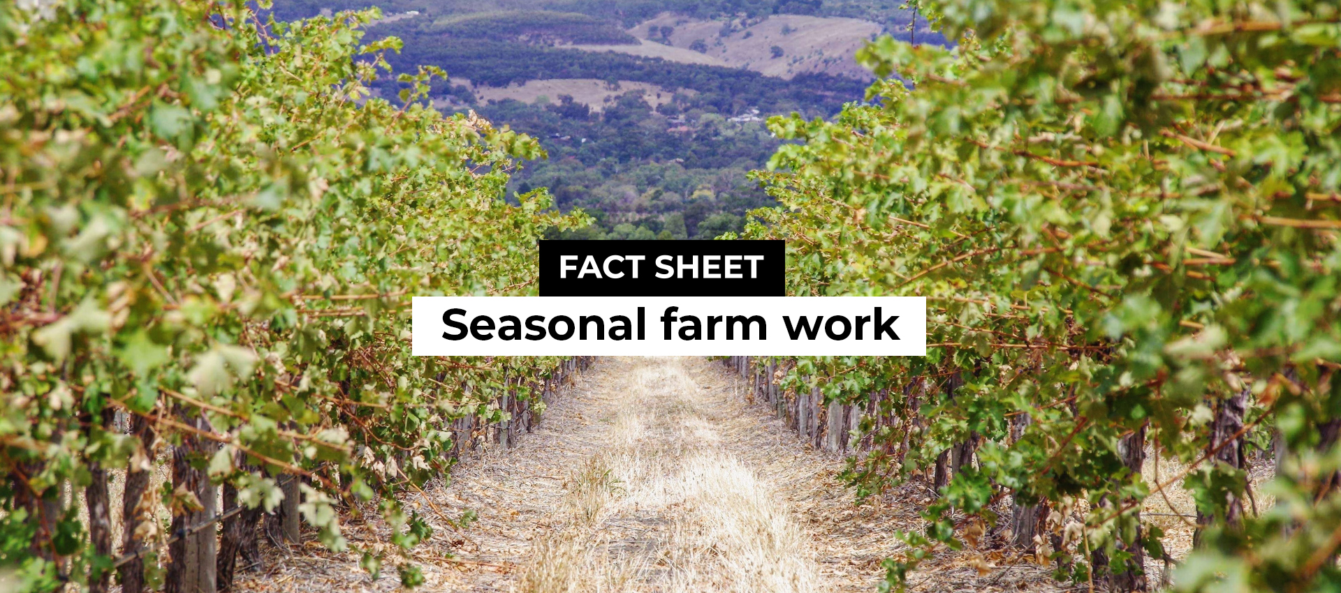 Seasonal farm work