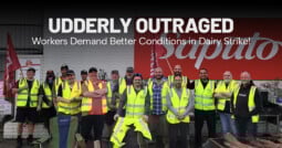 Udderly Outraged: Workers Demand Better Conditions in Dairy Strike!