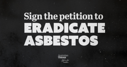 Factsheet Thumbnail: Eradicate asbestos (copy)