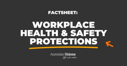 Factsheet Thumbnail: Workplace Health and Safety Protections