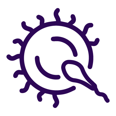 IFEB_Icon_Conception_Purple