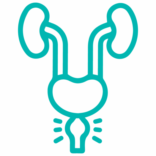 IFEB_Icon_Prostate_Teal